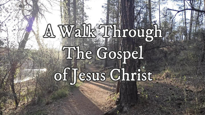 A Walk Through the Gospel - video preview
